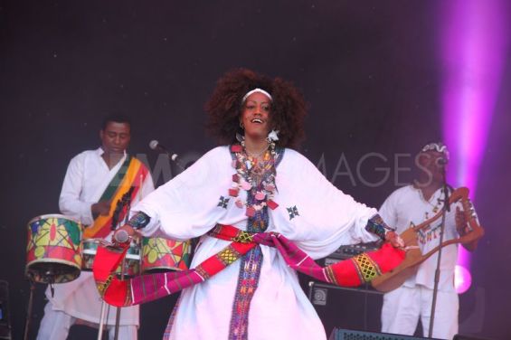 Krar Collective Celebrate Horn of Africa Music on Africa stage at the London Olympics